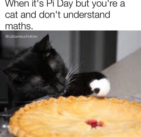 Pi Day Jokes and Memes to Share With Your Nerdiest Friends and Family