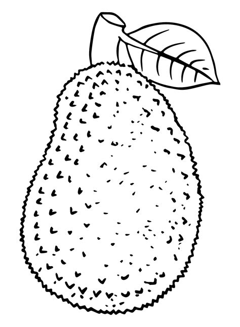 Jackfruit Images Coloring Page - Free Printable Coloring Pages