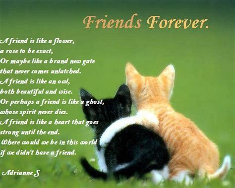 Day Celebration: Friendship Day Famous Poems