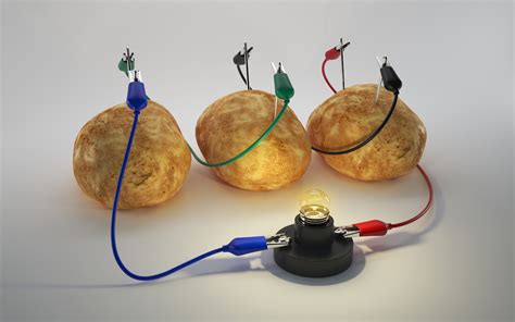 Science Project With Potatoes And Electricity