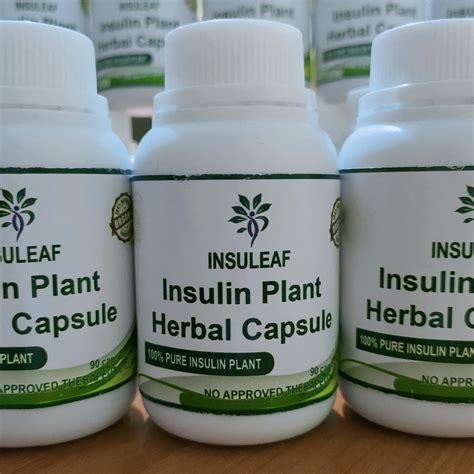 Insulin Plant Herbal - Authorized Distributor - Posts | Facebook