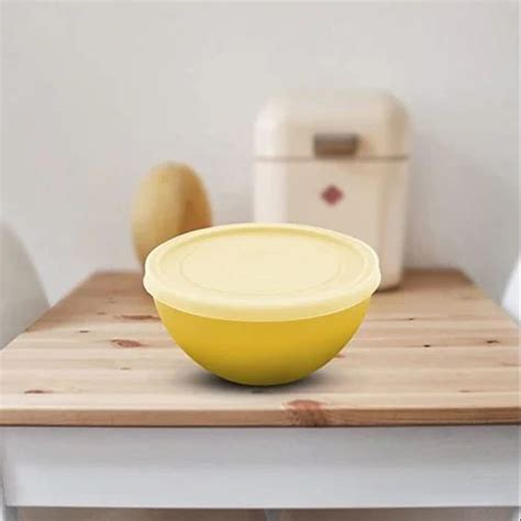 12 cm Jaycee Microwave Safe Plastic Bowl With Lid at Rs 20/set in Bengaluru