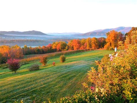 Virginia | Virginia is for lovers, Virginia wine country, Charlottesville wineries