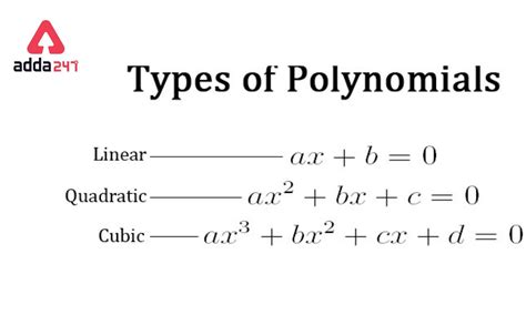 Polynomial- Definition, Formula, Types, Example