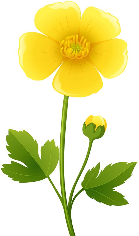 Yellow Flower Transparent PNG Clip Art Image | Gallery Yopriceville - High-Quality Free Images ...
