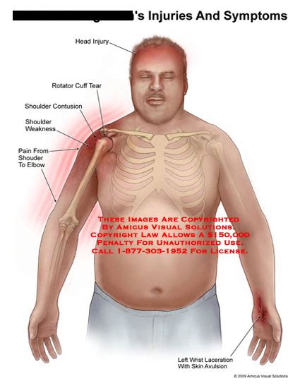 Medical Exhibits, Demonstrative Aids, Illustrations and Models