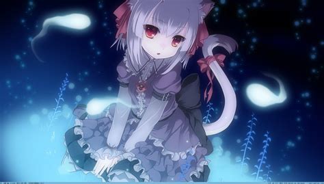 Catgirl Wallpapers - Wallpaper Cave