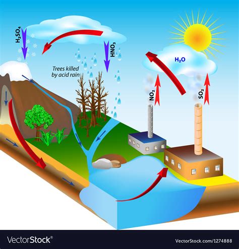 Acid Rain Cycle Diagram