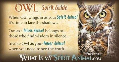 Owl Symbolism & Meaning | Own Spirit Animal & Totem | Spirit animal totem, Native american ...