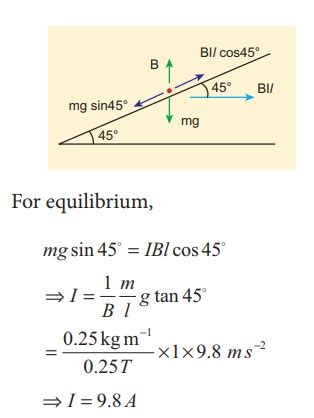 Lorentz Force: Solved Example Problems - Physics