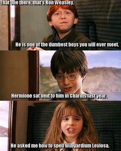 Best "Harry Potter" x "Mean Girls" Mash-Up Memes On The Internet ...