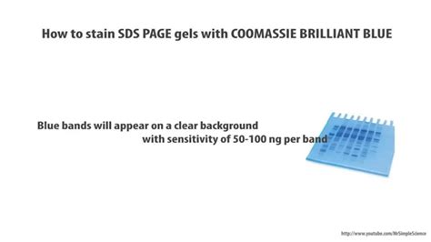 Coomassie Brilliant Blue Staining Of Polyacrylamide Gels, 50% OFF