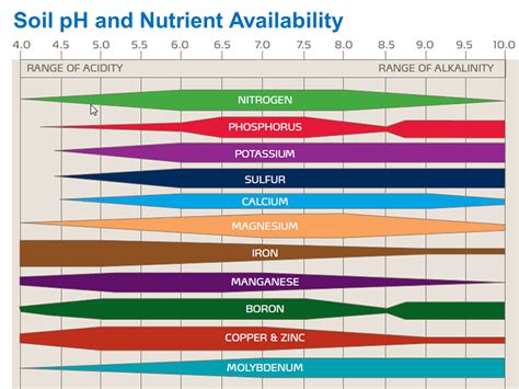 soil pH and Nutrient Availability - Lincoln Landscaping