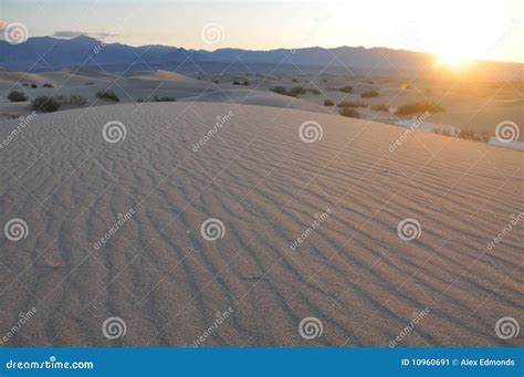 Sand Dunes at Sunrise stock image. Image of deserted - 10960691