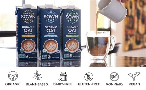 Amazon.com: SOWN Organic Oat Creamer Vanilla - Barista Oat Milk Non ...