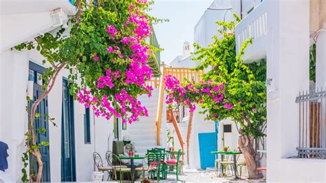 A Guide to the Island of Mykonos: From Parties to Pristine Beaches - Through Eternity Tours