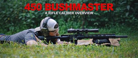 450 Bushmaster - A Rifle Caliber Overview