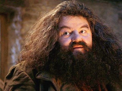 Rubeus Hagrid - Harry Potter - POSTAVY.cz