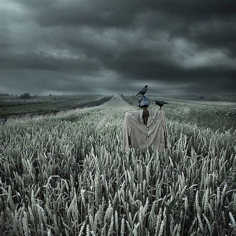 Asphodel Meadows #PersephoneIQH | Surreal photo manipulation, Scarecrow, Photo