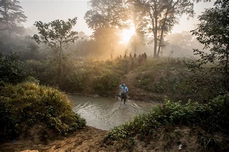 Nepal's women of the Terai Arc become forest conservationists – in ...