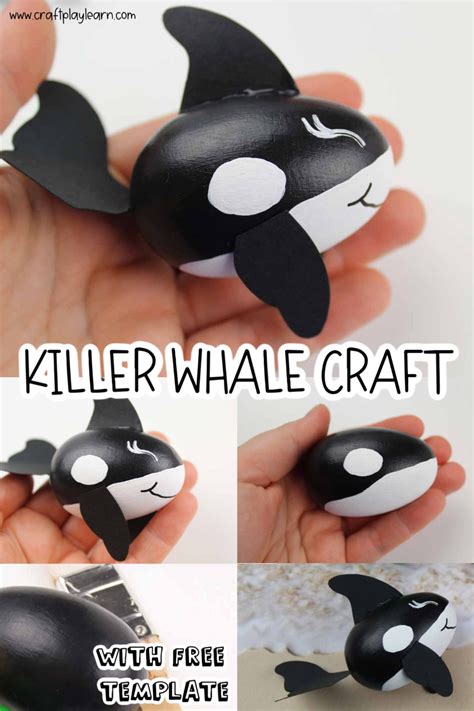 The Killer Whale is an amazing creature to learn about and today we ...