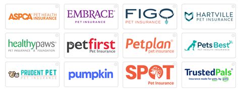 List Of Pet Insurance Companies In Usa at Rose Dingler blog