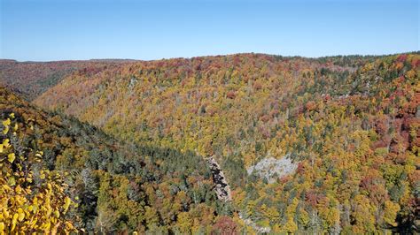 Blackwater Falls State Park | Miller Family Adventure