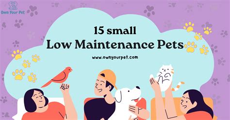 15 Small Low Maintenance Pets