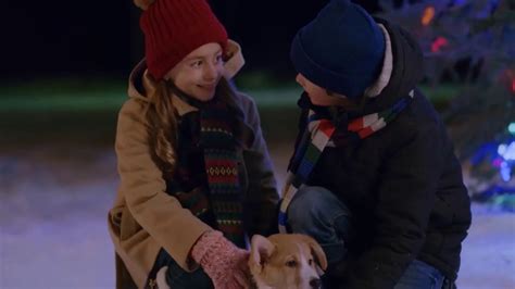 A Very Corgi Christmas (2019) | MUBI