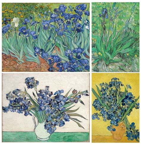 "Irises" by Vincent van Gogh - Studying the Famed "Irises" Painting