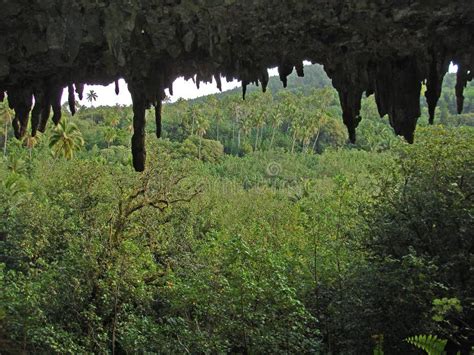 Mangaia Caves, Polynesia stock image. Image of grot - 205101753