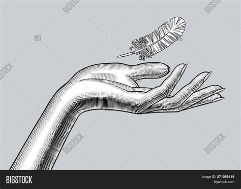 Female Hand Palm Image & Photo (Free Trial) | Bigstock