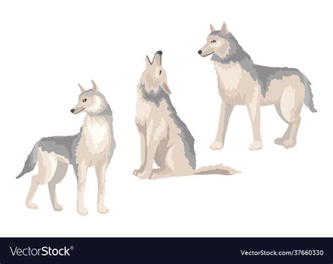 Wolfs in different poses a dog is sitting Vector Image