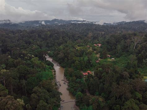 DANUM VALLEY CONSERVATION AREA | Sabah Holidays