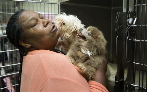 Guilford County animal shelter director fired - Greensboro News & Record: Crime