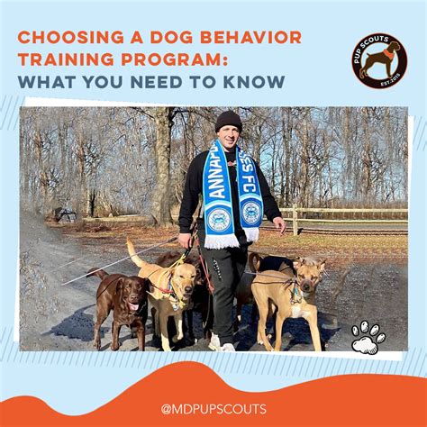 Choosing a Dog Behavior Training Program: What You Need to Know