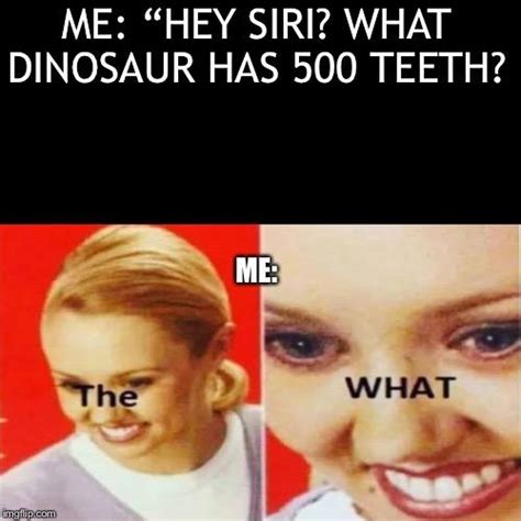 What Dinosaur Has 500 Teeth? / Don't Google Which Dinosaur Had 500 ...