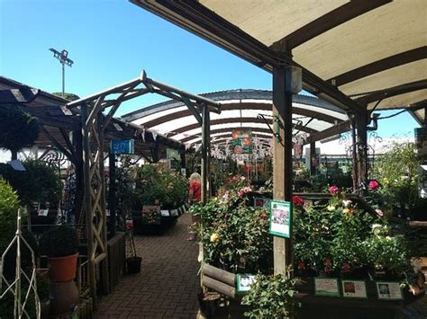 The Old Railway Line Garden Centre, Brecon - Restaurant Reviews, Phone Number & Photos - TripAdvisor