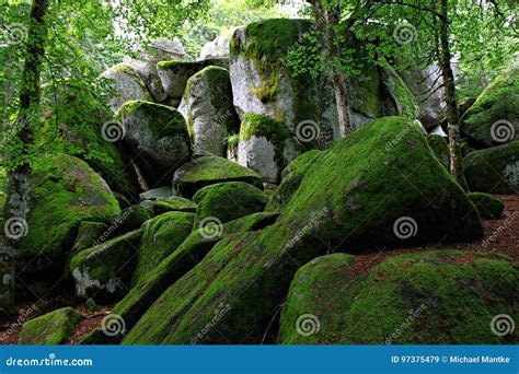 Rocks with Green Moss Called Guenterfelsen in the Black Forest, Germany ...