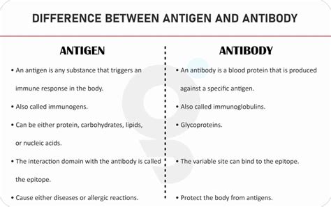 What is Difference between Antigen and Antibody?