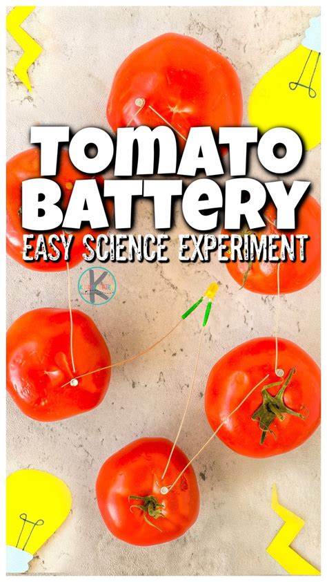 How To Make A Potato Light Bulb Science Fair Project | Shelly Lighting