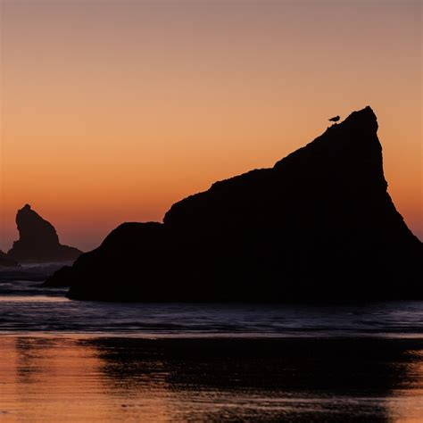 5 Reasons to Make the Trip to the Southern Oregon Coast | Outdoor Project