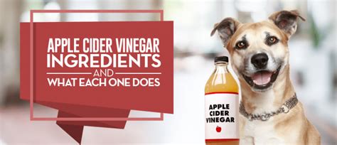 Apple Cider Vinegar for Dogs | 17 Proven Benefits