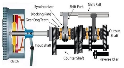 What Is A Dog Ring Transmission