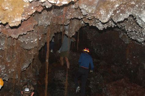 GC19566 Rangitoto Lava Caves (Auckland) (Earthcache) in North Island ...