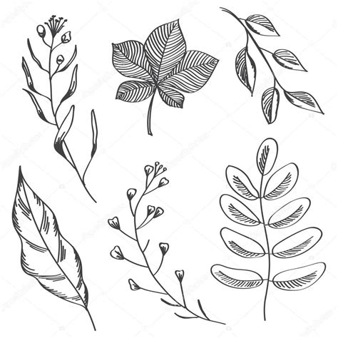 Simple Leaf Drawing at GetDrawings | Free download