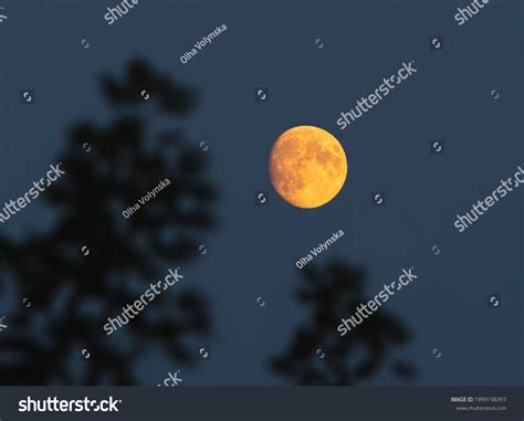 Full Moon Sky Night Photo Silhouette Stock Photo 1999198397 | Shutterstock