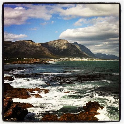 Whale Watching in Hermanus, South Africa