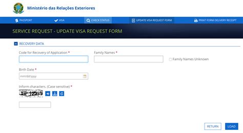 How do I edit the Brazil visa application form?