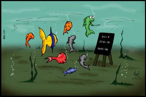 Fish school | LearnEnglish Kids | British Council